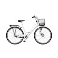 Damcyklar