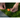 HUSQVARNA Automower® skarvkoppling